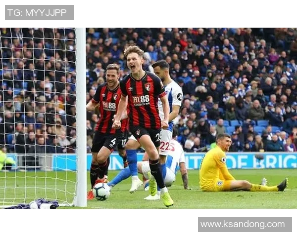 布赖顿主场迎战加的夫城力争三分巩固联赛地位