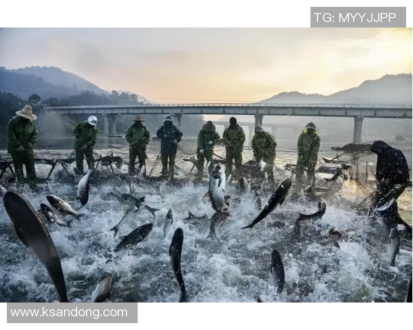 萨克达与亚特兰大激战正酣谁能在这场较量中笑到最后