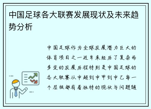 中国足球各大联赛发展现状及未来趋势分析