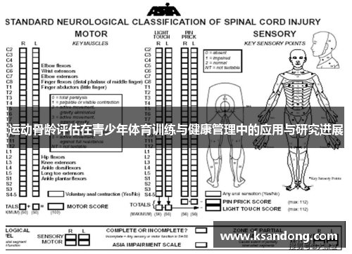 运动骨龄评估在青少年体育训练与健康管理中的应用与研究进展