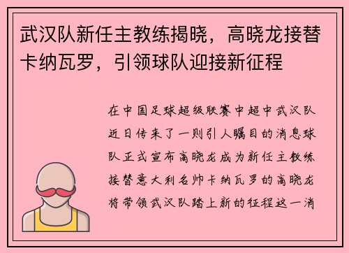 武汉队新任主教练揭晓，高晓龙接替卡纳瓦罗，引领球队迎接新征程