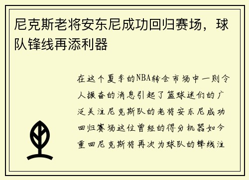 尼克斯老将安东尼成功回归赛场，球队锋线再添利器