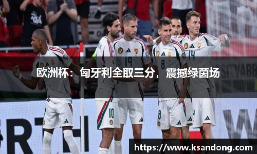 欧洲杯：匈牙利全取三分，震撼绿茵场