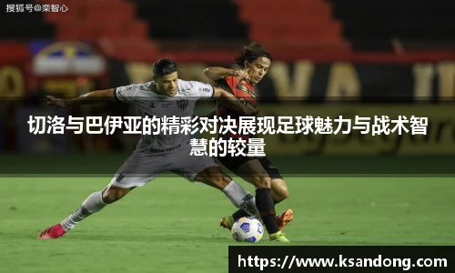 哈哈体育在线登录